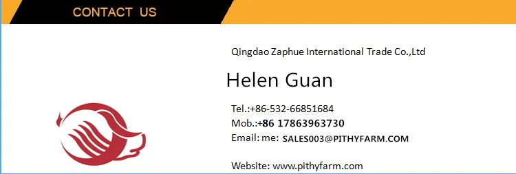 2020 Hot Sale New Design Wet/Dry Feed Trough for Pig Farm