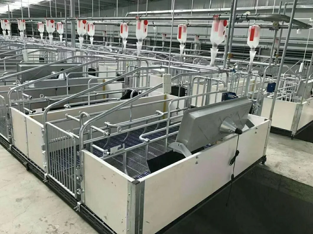 Factory Direct Sale Cheap Farrowing Crates for Pigs
