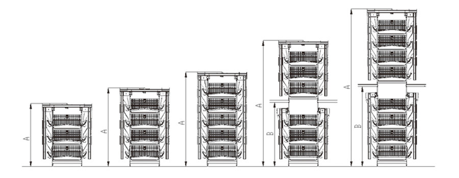 H Type Layer Chicken Cages with Automatic Egg Collection System