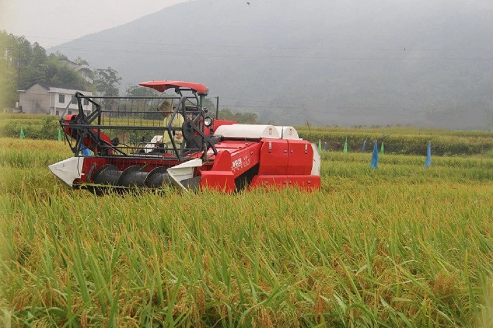 Factory Supply Mini Rice Combine Grain Harvester with Crawler