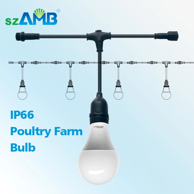 7W 11W Szamb LED Crown Bulb for Poultry Farm