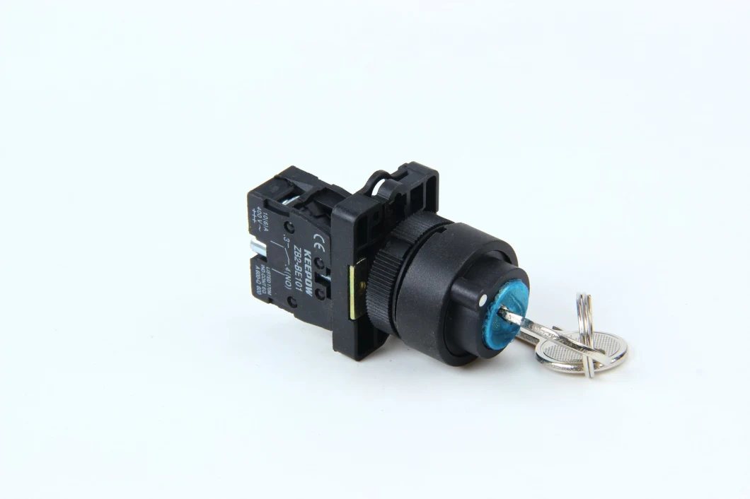 Momentary Push Button Switch 24V