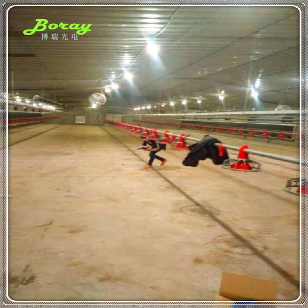 Poultry Used LED Lights Including Tubes and Lamps