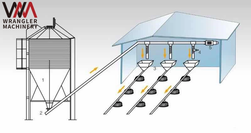 Automatic Chicken Farm Feeding System Price Broiler Feeder Poultry Farming Equipment for Sale