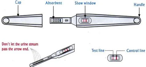 HCG Pregnancy Strip Test Kits, Pregnancy HCG Test, Pregnancy Strip