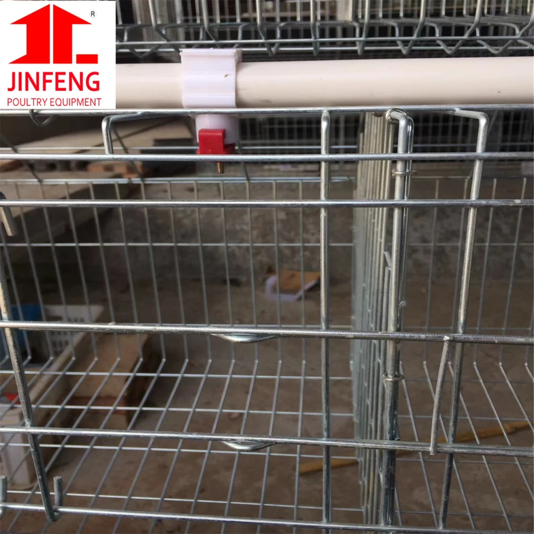 Hot Galvanized Automatic Battery 4 Tiers Layer Rearing Chicken Cage