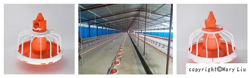 Tunnel Ventilation Broiler House Poultry Automatic Feeding System