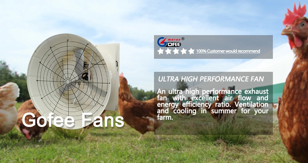 Factory Fiberglass Blade Roof Top Exhaust Fan Air Ventilator Fan