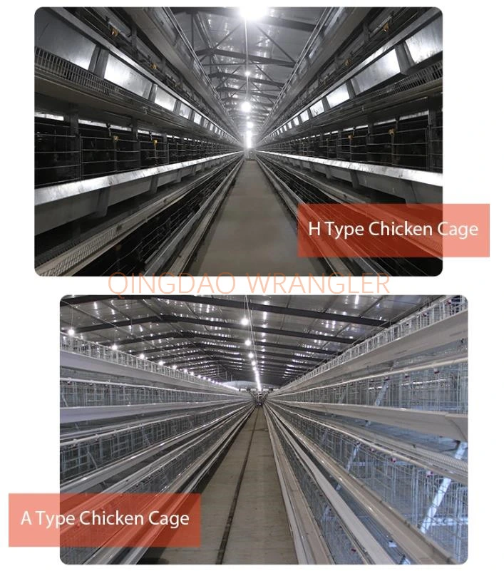 Chicken Poultry Layer Cage Automatic Brolier Battery Cage Chicken Egg Laying Cage for Farm