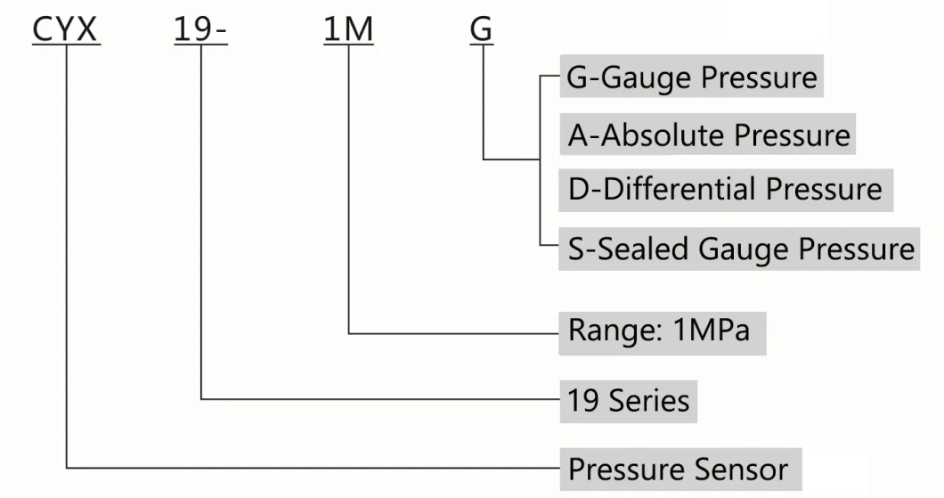 Cybd/T19 10kpa~3MPa Pressure & Temperature Pressure Sensor
