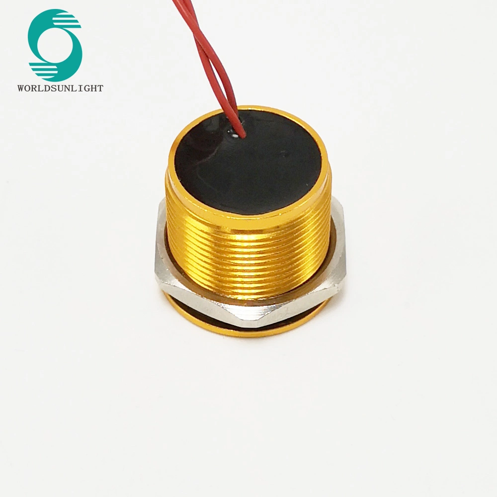 Ws195f1nom IP68 19mm Gold Anodized Flat Operator Flyingleads 200mA 24VAC/DC Normally Open Momentary Piezo Switch