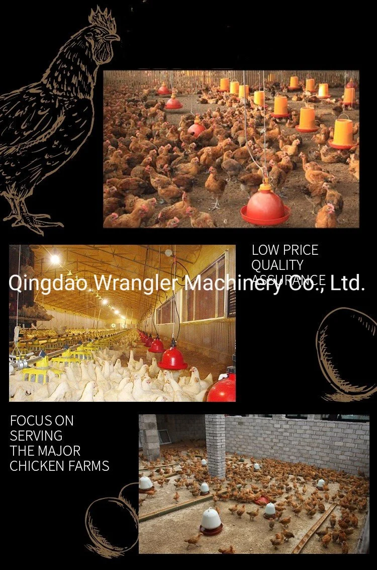 Poultry Farming Equipment Chicken Water Cup Drinker Chicken Manual Waterer Drinker