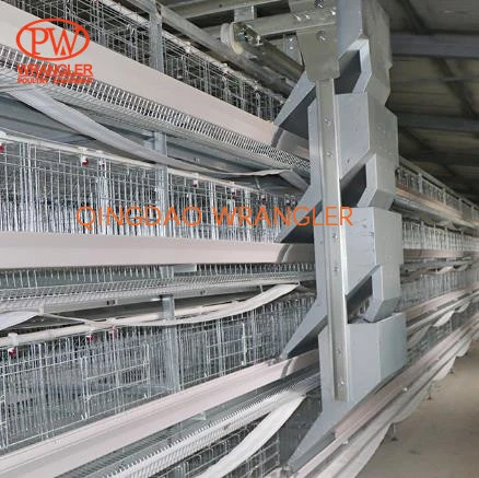 Pullet Rearing Cage Automatic Feeding and Drinking System, H-Type Cage