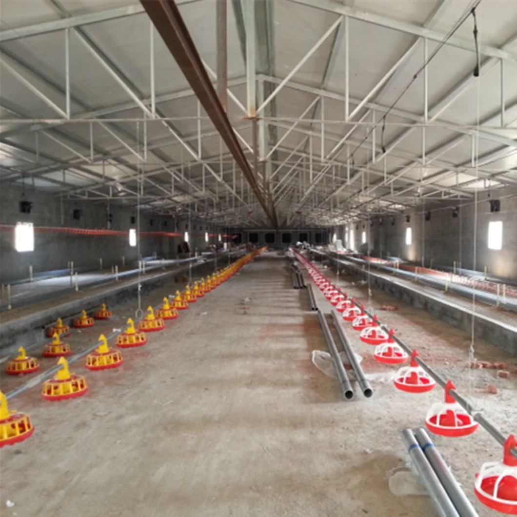Galvanized Feed Pipe/Tube for Chicken Feeding System
