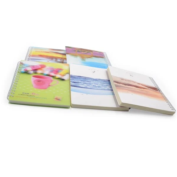 Chinese Supplier Spiral Bound Notebook with Color Pages