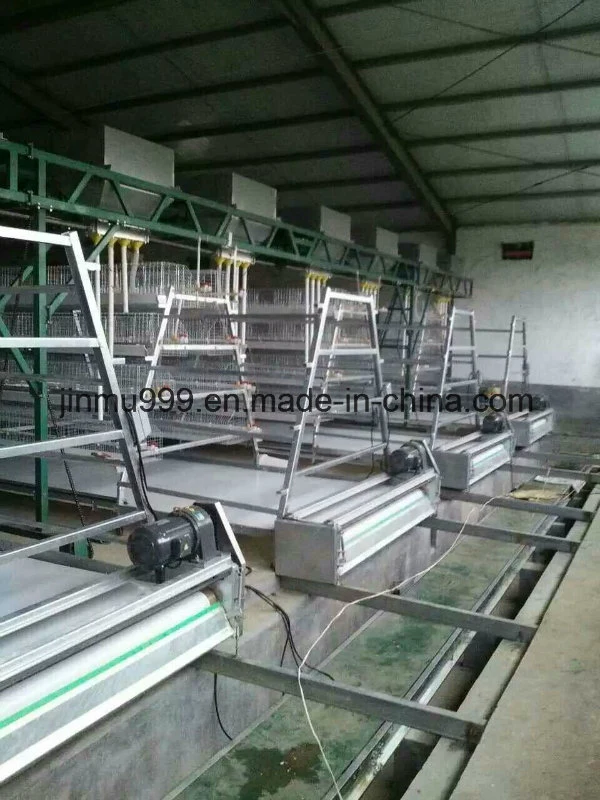 Automatic Poultry Feeding System Chicken Battery Cage/ Chicken Raising Equipment
