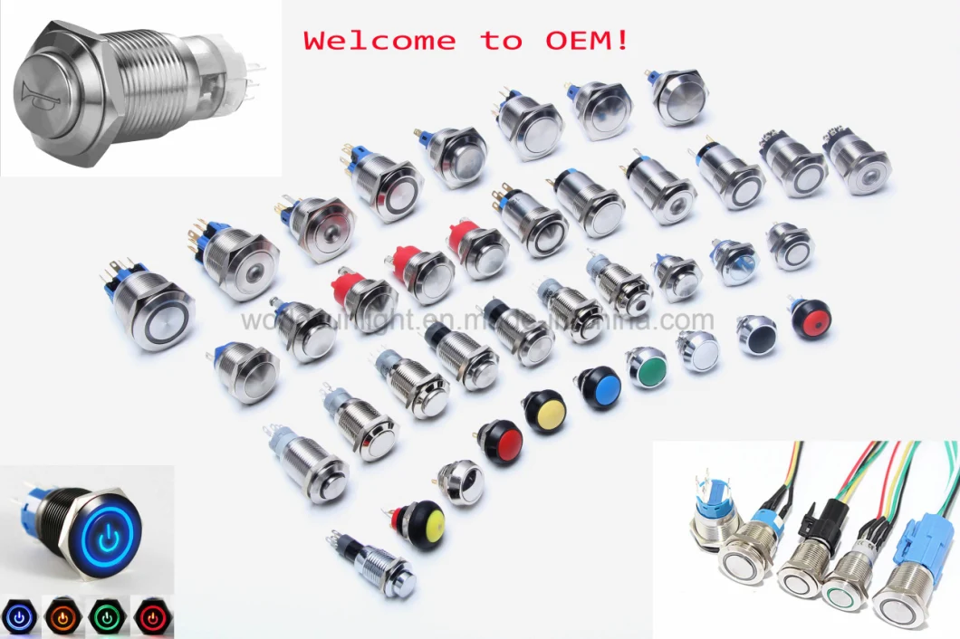 19mm 12V LED 8 Colors Dome Light on off Universal Push Button Switch for Light for Car Lorry Boat