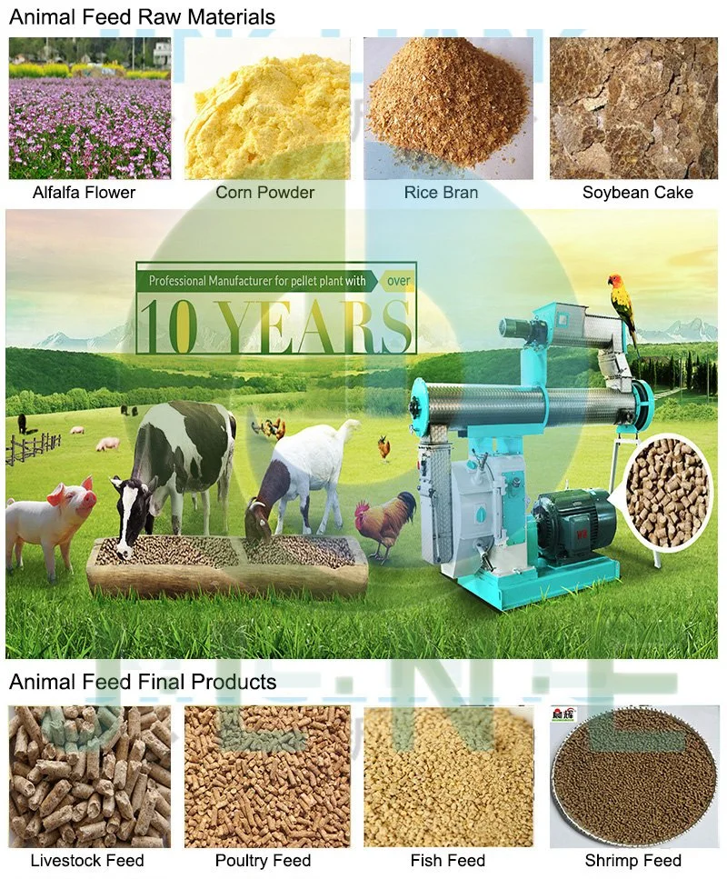 Chicken Manure Pellet Machine Poultry/Cattle/Fish Feed Automatic Equipment