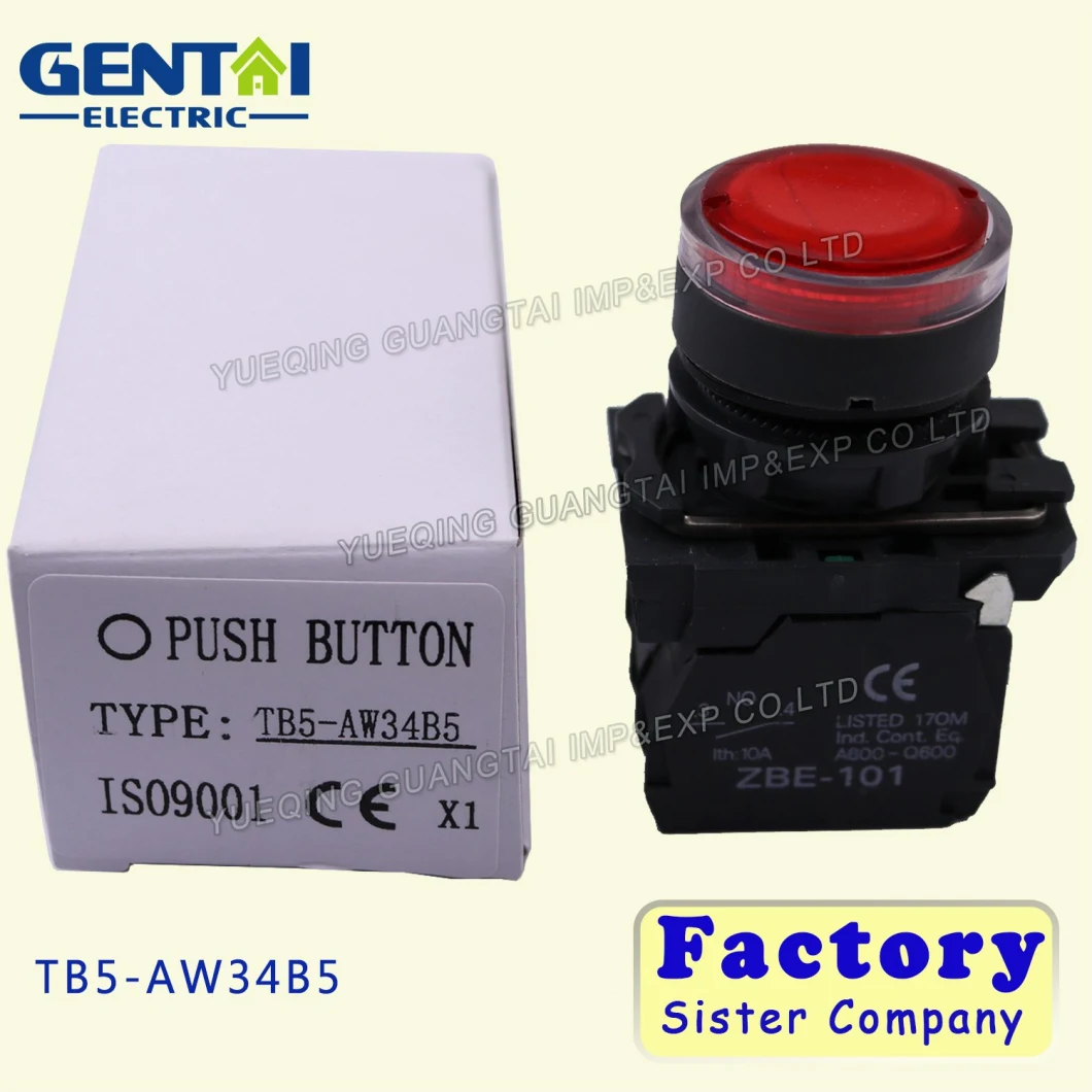 Red Illuminated Push Button Switch