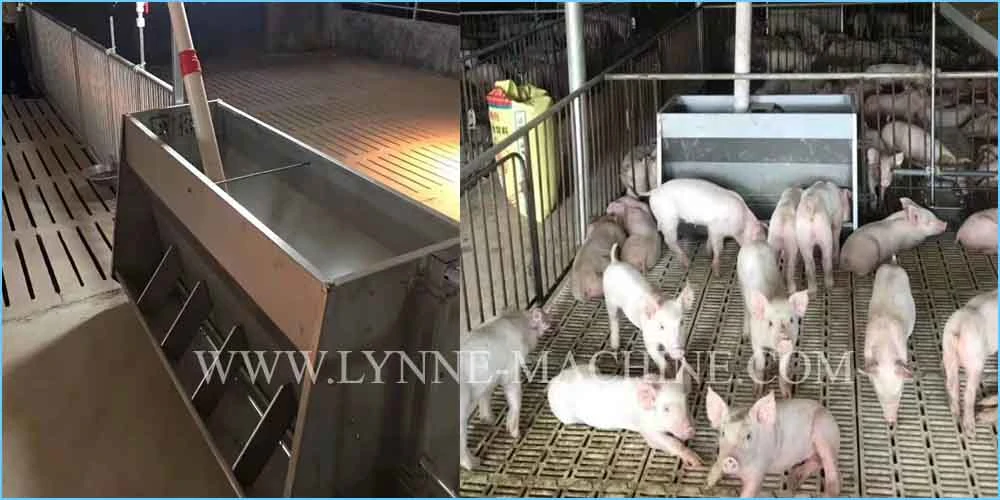 Livestock Stainless Steel Pig Sow Piglet Feeder From China Manufacturer