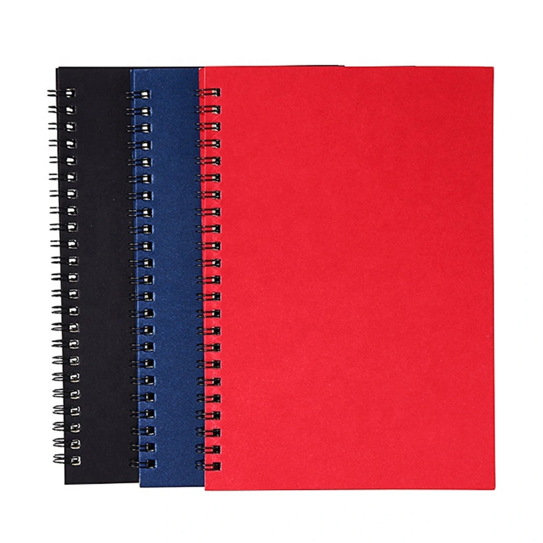 2020 Custom Paper Spiral Binder Printed Notebook