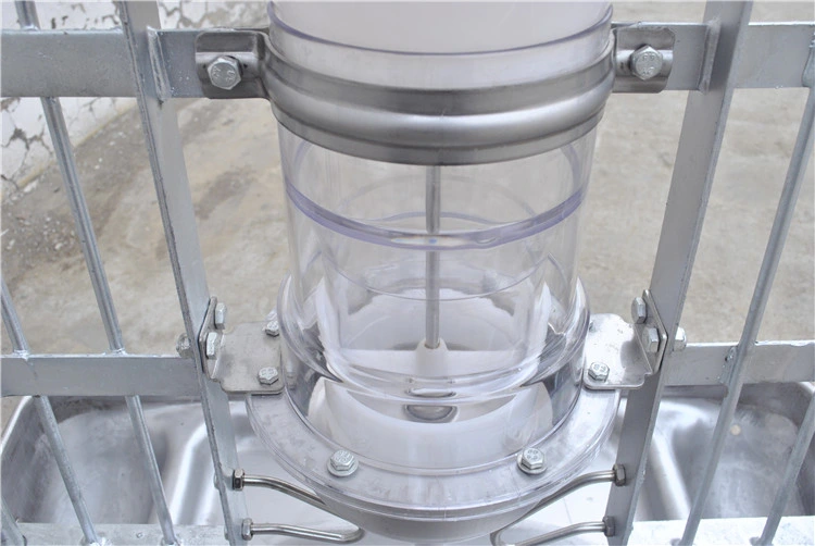 Automatic Plastic Stainless Dry-Wet Feeder for Pig
