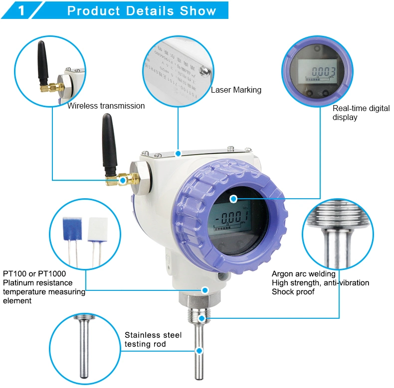 FST100-6102 Industrial PT100 PT1000 Battery Power Zigbee Water Temperature Sensor