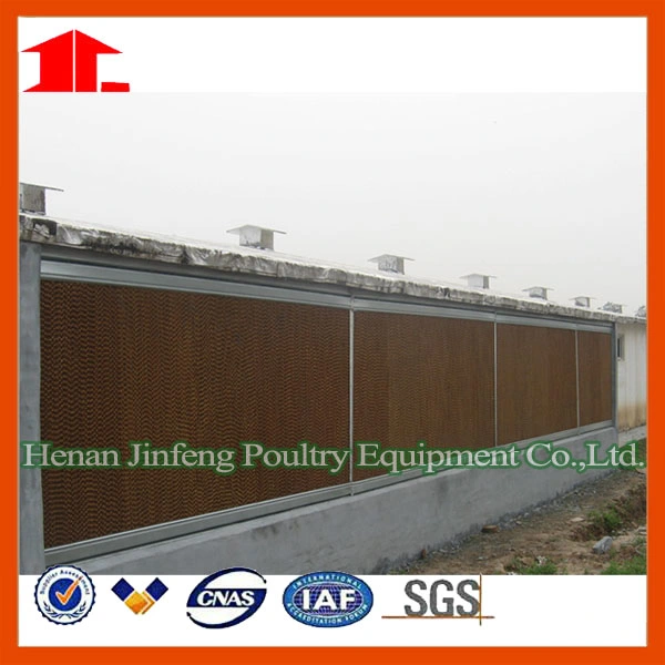 Automatic Battery Poultry Farming Equipment Chicken Cage for Poultry House