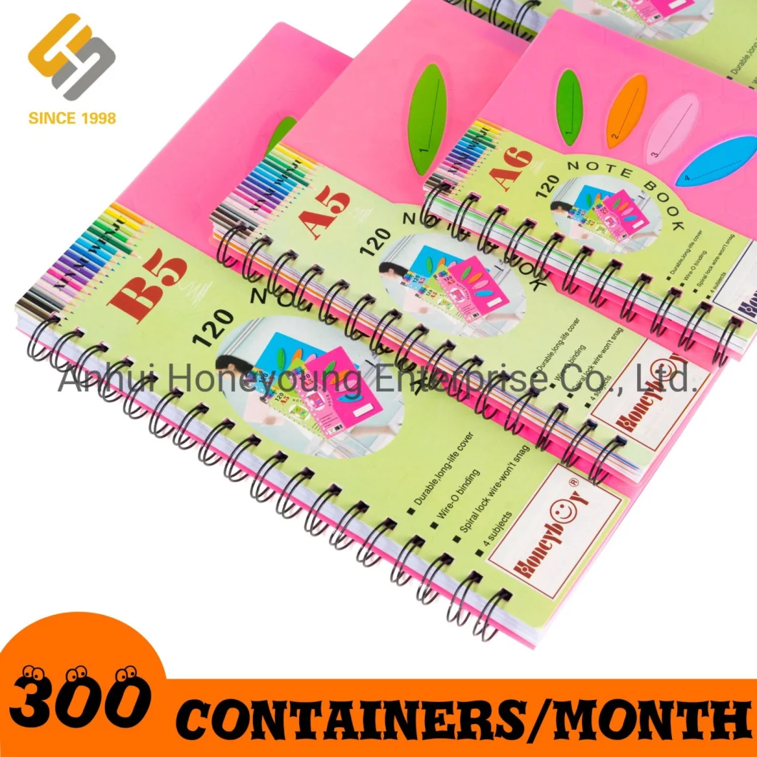 120 Sheets Lined 8mm Format A4 Notebook with Transparent Subject