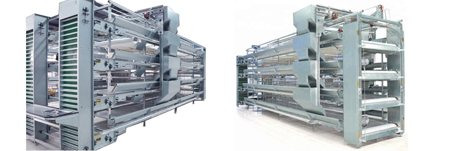 Automatic Egg Collection Poultry Farm H Type Layer Cage System
