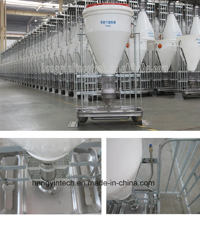 Ss 304 Stainless Steel Pig Feeder Trough