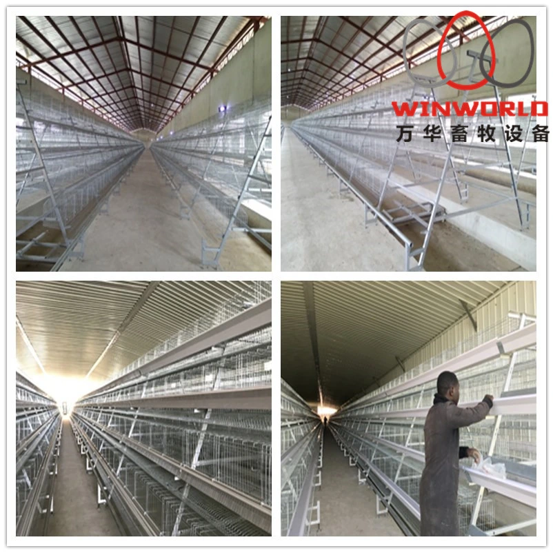Hot Galvanized Chicken Layer Cage for Farm in Tanzania Poultry Farm