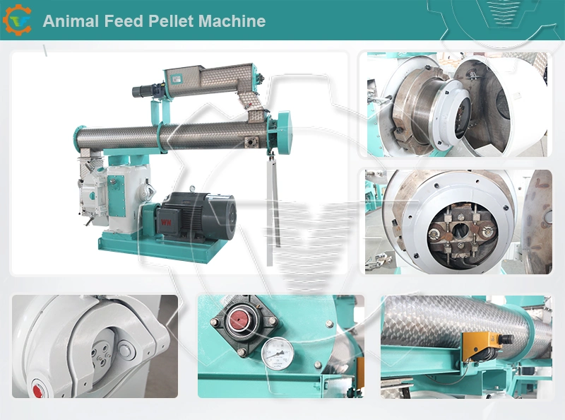 Automatic Turnkey Solution Poultry Equipment for Poultry Farm