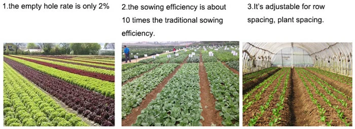 All-in-One Seed Planter/Onion Seeder/Carrot Seed Planter/Vegetable Seed Machine