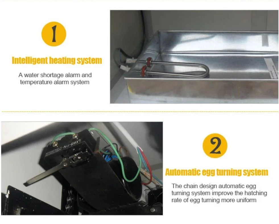 Customized Large Capacity Automatic Poultry/Chicken/Quail/Duck/Goose/Ostrich/Pigeon Egg Incubator