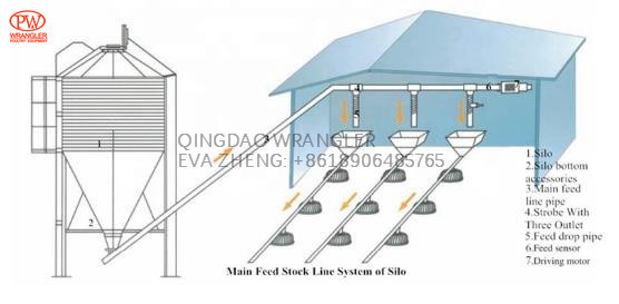 Broiler Farming Equipment Automatic Poultry Feeding Line System for Broiler Farm