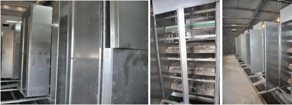 Battery Hens Cage with Egg Collection System for Poultry Farm