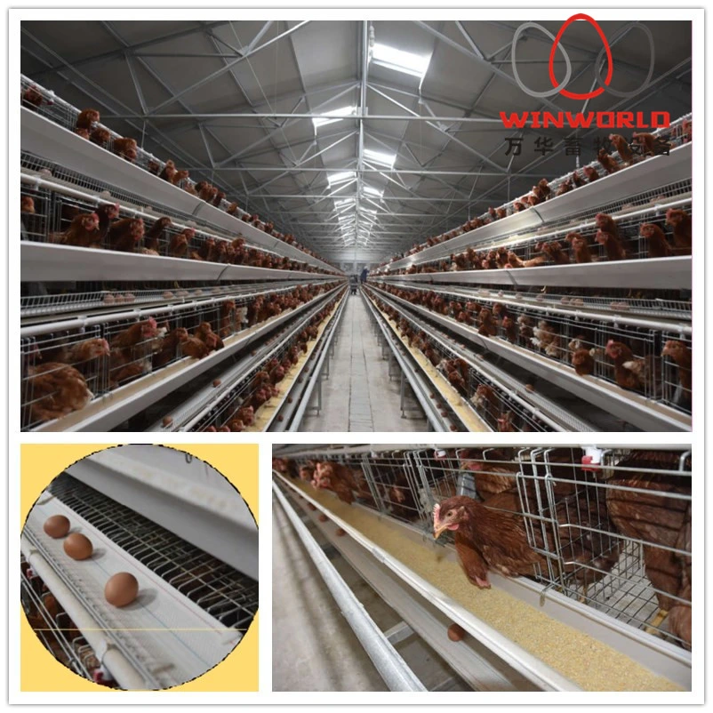 Hot Galvanized Chicken Layer Cage for Farm in Tanzania Poultry Farm