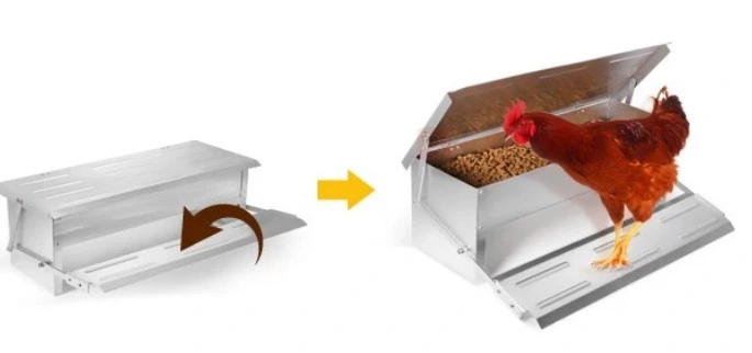 Automatic Feeder for Poultry and Chicken