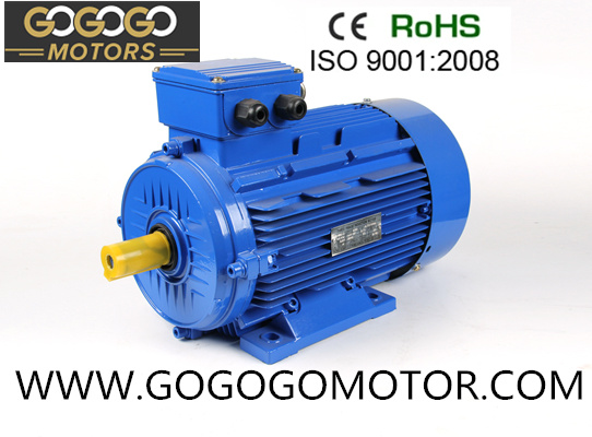 Yt Special Three Phase AC Asynchronous Electrical/Electric Motor for Animal Husbandry Fan with CE