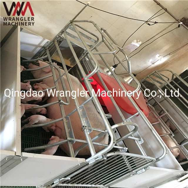 Wholesale Best Selling Professional Livestock Machinery Pig Gestation Stalls Made in China