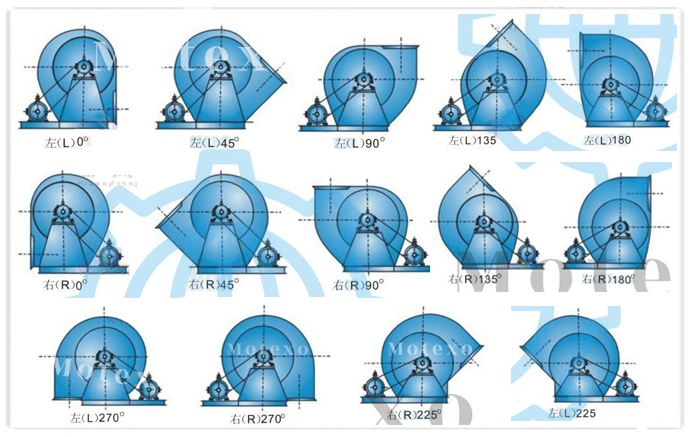 Stainless Steel 316 Large Volume Medium Pressure Centrifugal Fans