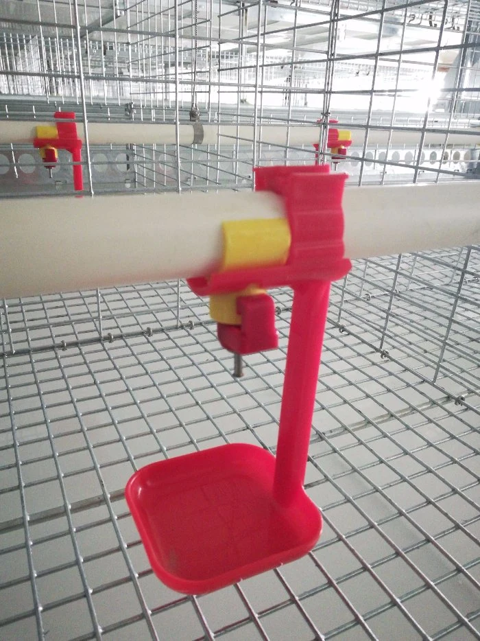 Poultry Farm Automatic Layer Egg Chicken Cage Feeding Drinking System