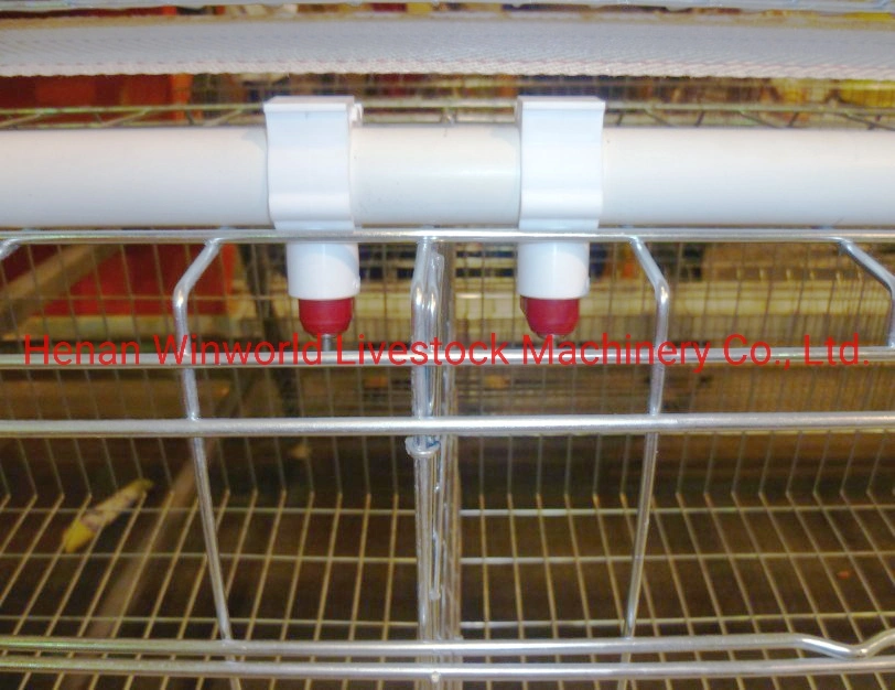 Lowest Price Layer Chicken Cage with PVC Feed Trough Good Sale