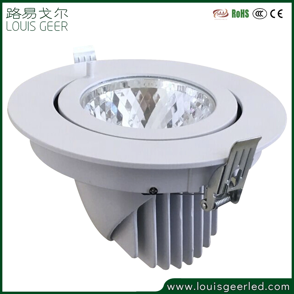 Factory Flush Mount 30W LED Bulb COB LED Ceiling Lights Spot LED Light