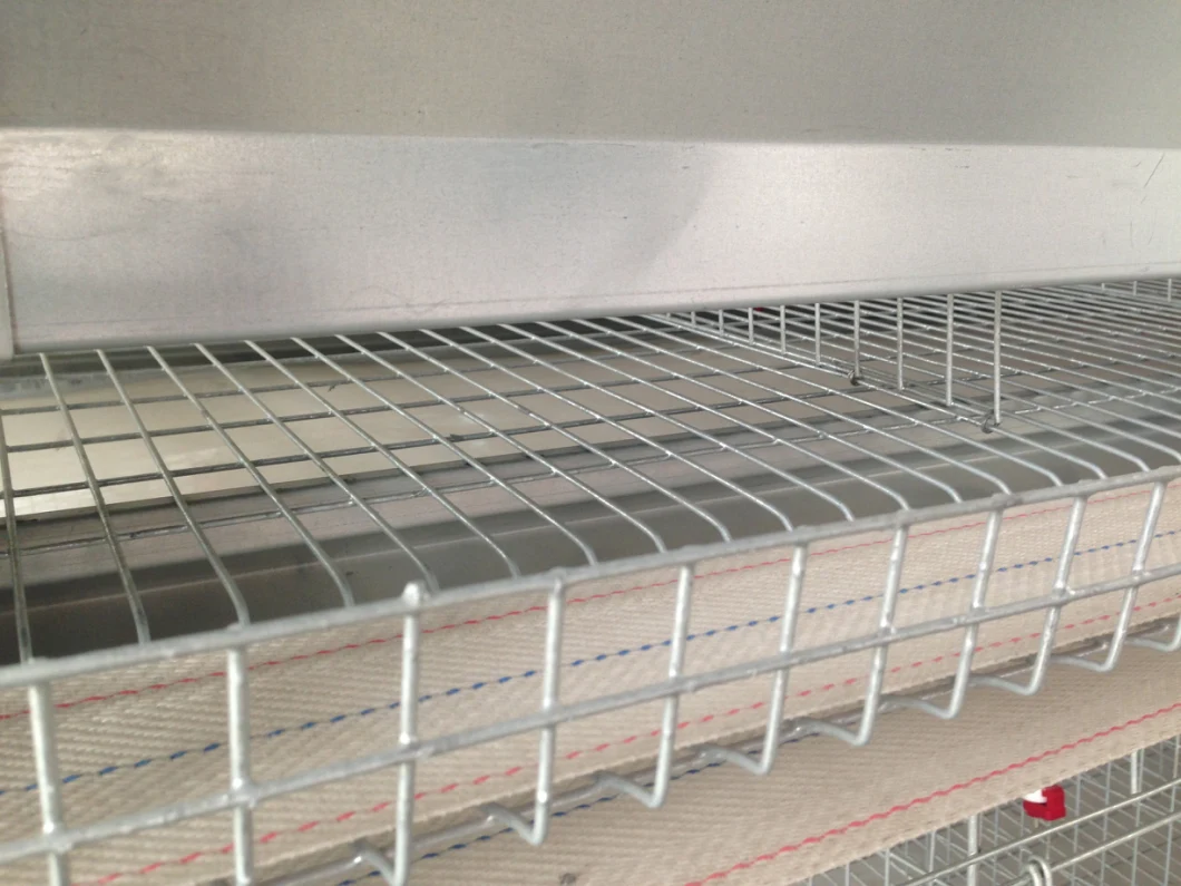 Modern Design Layer Chicken Cage with Automatic Egg Collection Feeding