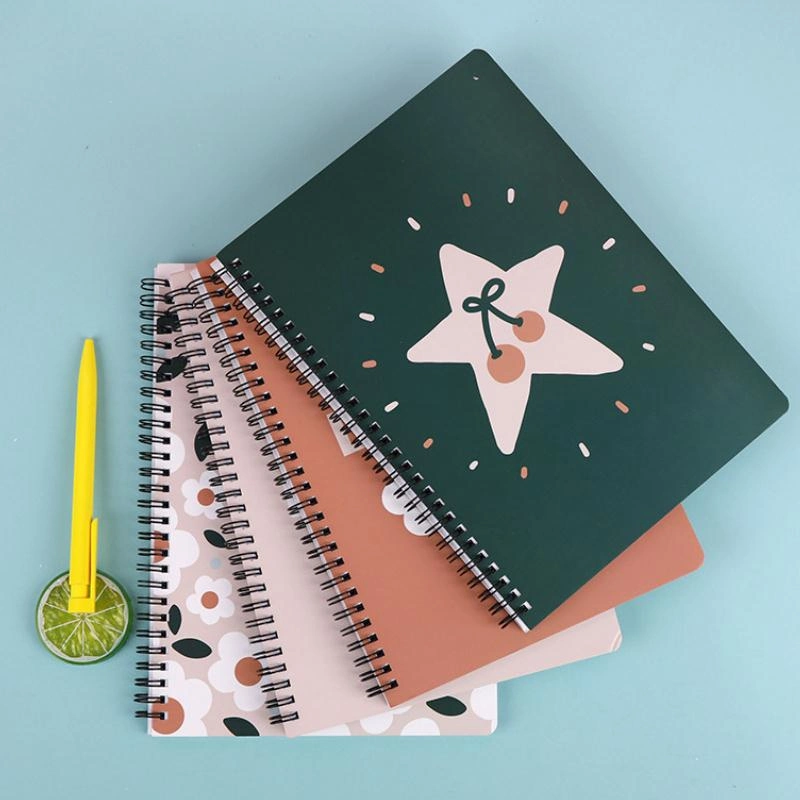 Custom Spiral Wire-O Journal Notebook Printing A5 School Diary Notebook