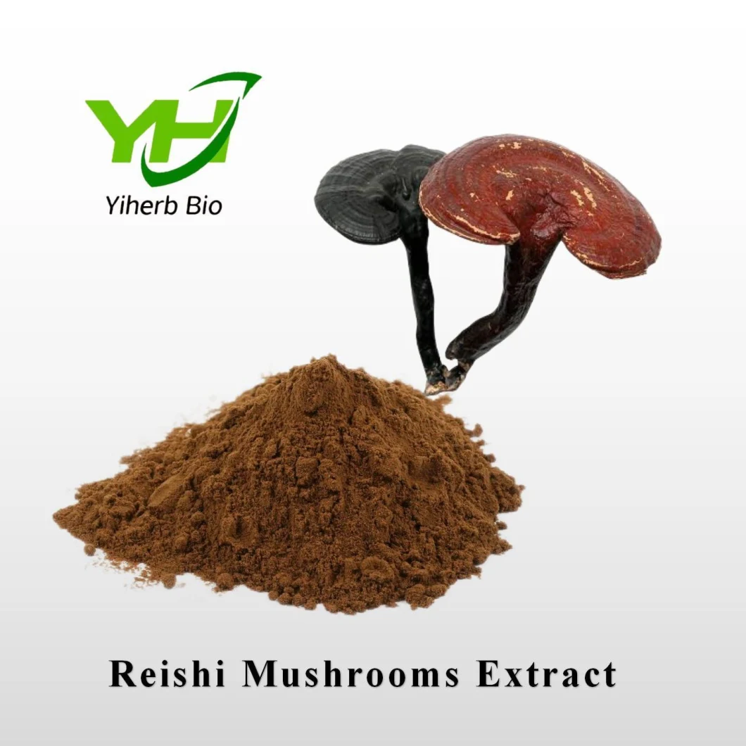 Nature Herb Ganoderma Lucidum Sporocarp Polysaccharide Reishi Mushrooms Extract