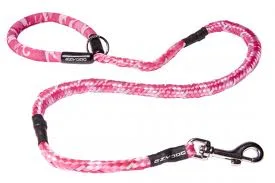 Customized Spring Factory Spiral Dog Leash Spring