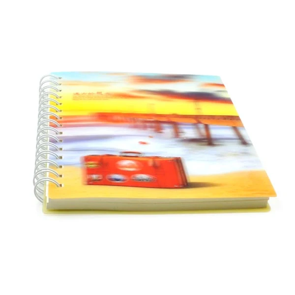 Chinese Supplier Spiral Bound Notebook with Color Pages